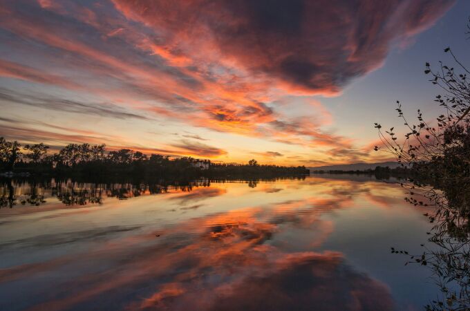 Pili Rius, Delta del Ebro