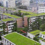 El Ayuntamiento de Beijing subvenciona desde hace años las cubiertas verdes en los edificios para luchar contra la contaminación