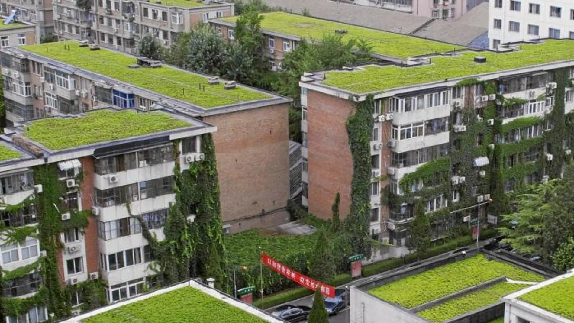 El Ayuntamiento de Beijing subvenciona desde hace años las cubiertas verdes en los edificios para luchar contra la contaminación