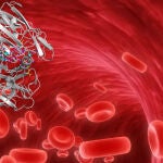 Una enzima mutante permitirá introducir microchips en la sangre