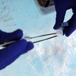 Un científico extrayendo muestras en las inmediaciones Charles Peak, cerca del campamento Glaciar Union, Antártida. A través de las muestras de sedimentos, hielo y nieve se consiguen aislar bacterias para aplicaciones en la agricultura o con fines biomédicos como el contraste de celular tumorales.