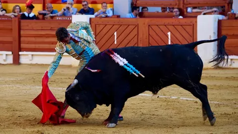 El diestro Francisco José Palazón dando un derechazo en Alicante / David García