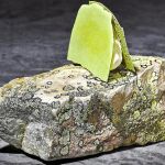 Vegetales, carnes y arroces