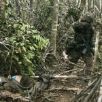 El Ejército colombiano «desnuda» la selva
