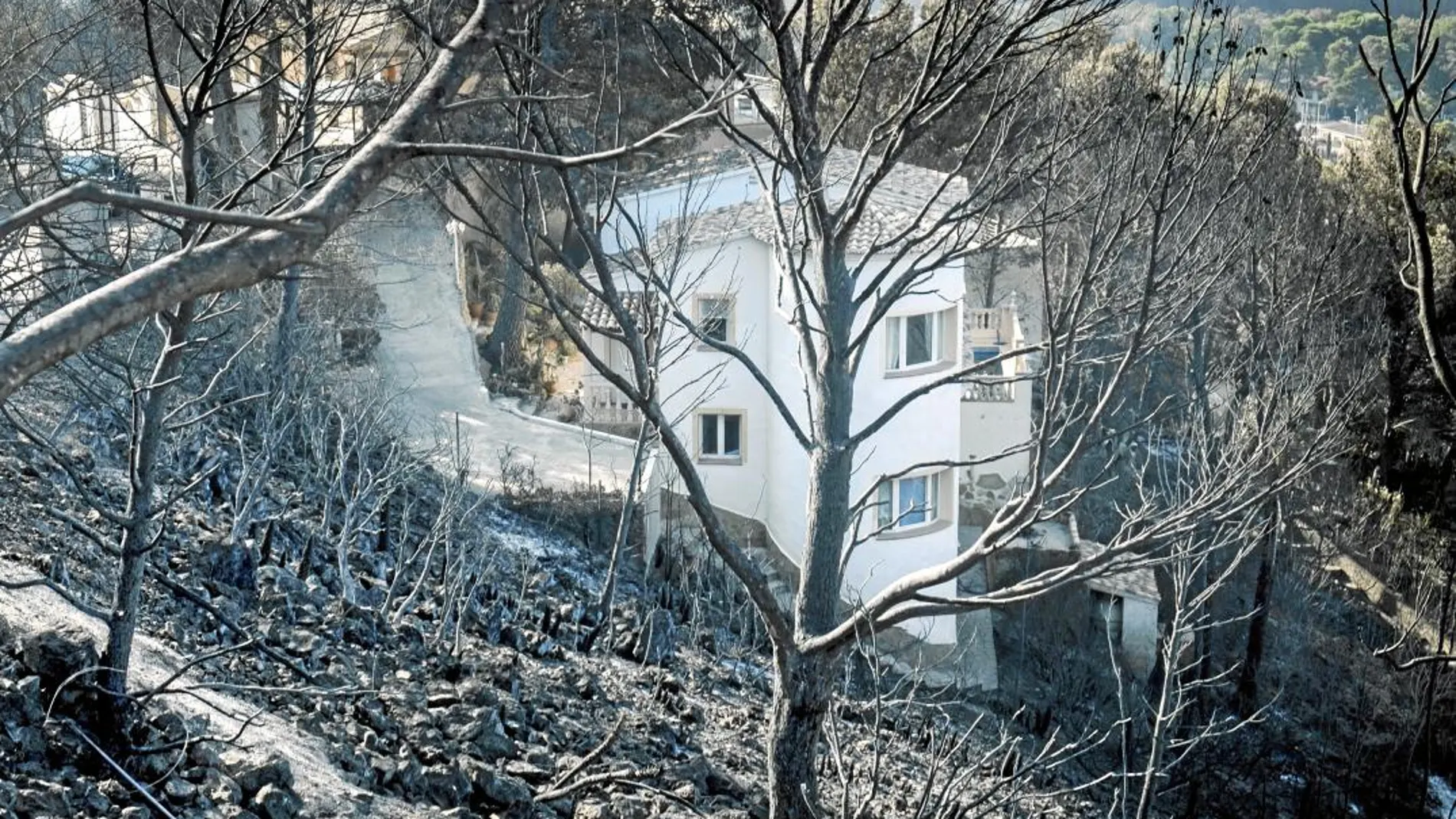 El fuego desatado el lunes en Llutxent afectó sobre todo a la población de Gandía, donde 40 viviendas quedaron afectadas