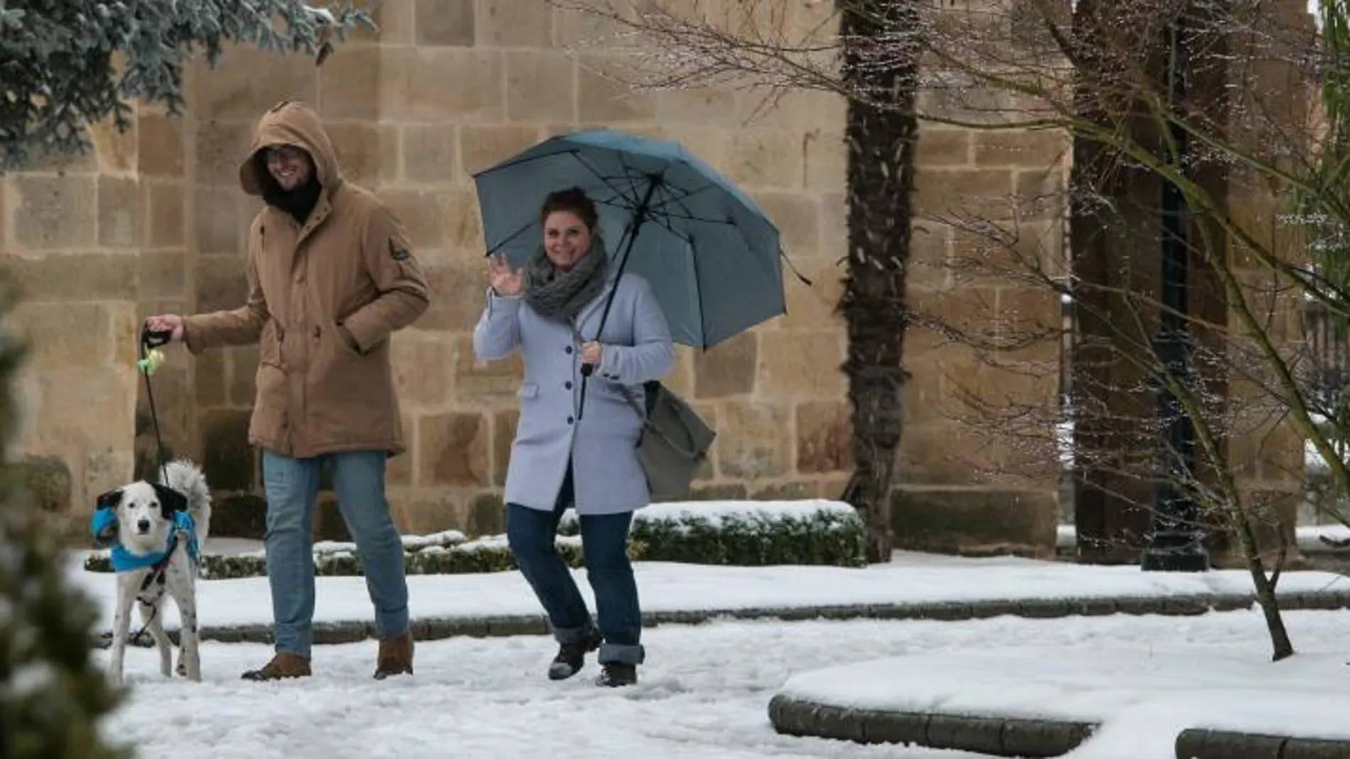 Una pareja pasea con su perro en la capital soriana, donde el temporal dejó hasta diez centímetros de nieve y temperaturas bajo cero