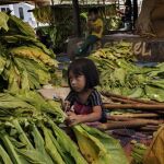 Asia y el Pacífico continúa siendo la región con el mayor número de trabajo infantil, unos 78 millones.