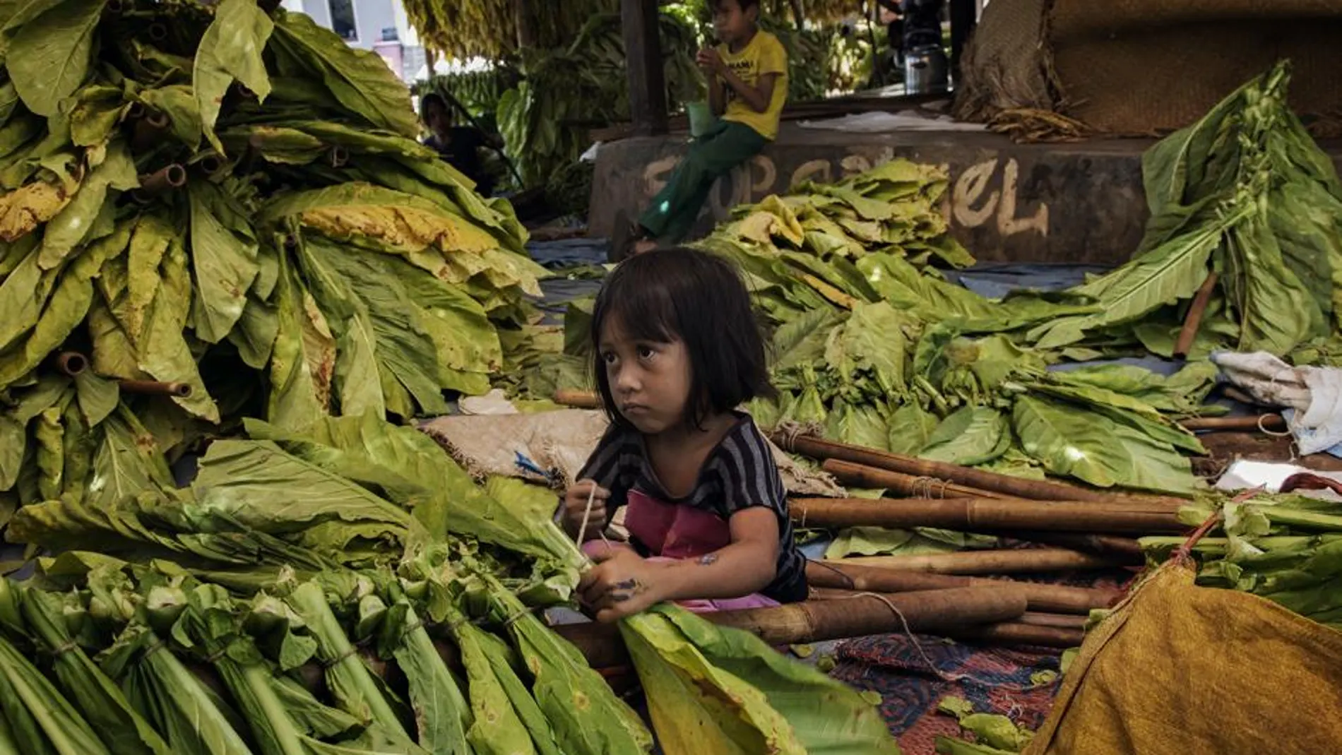 Asia y el Pacífico continúa siendo la región con el mayor número de trabajo infantil, unos 78 millones.
