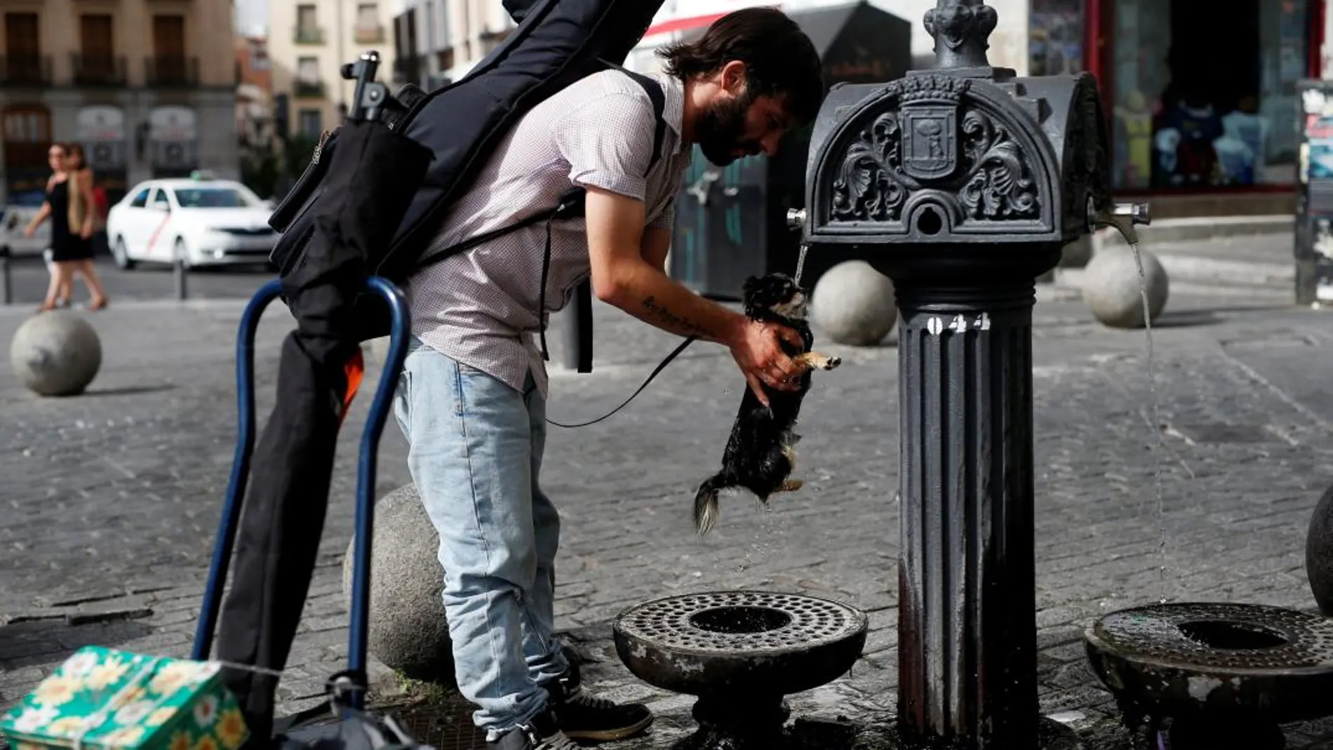 Un hombre moja a su perro en una fuente de Madrid