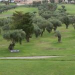 Record de participación en el XIII Aniversario de La Finca Golf Resort
