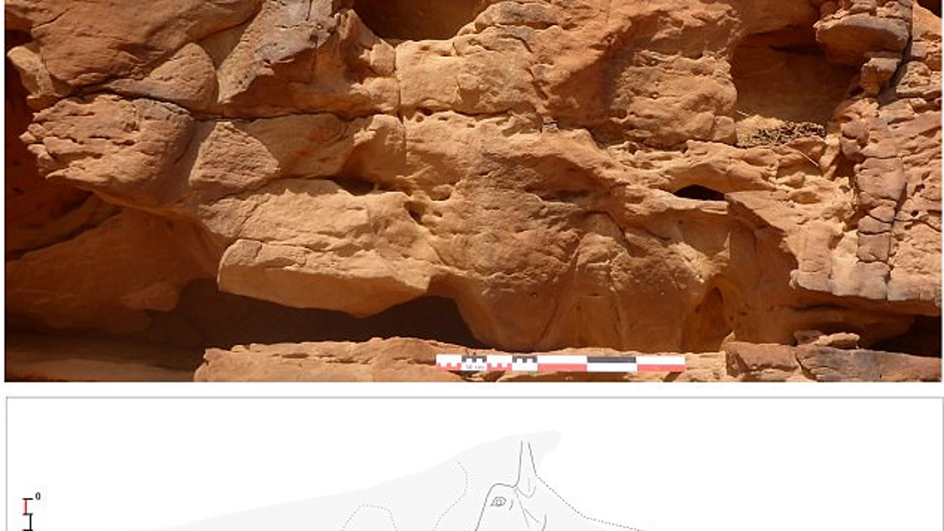 Encuentran esculturas milenarias de camellos a tamaño real en el desierto saudí