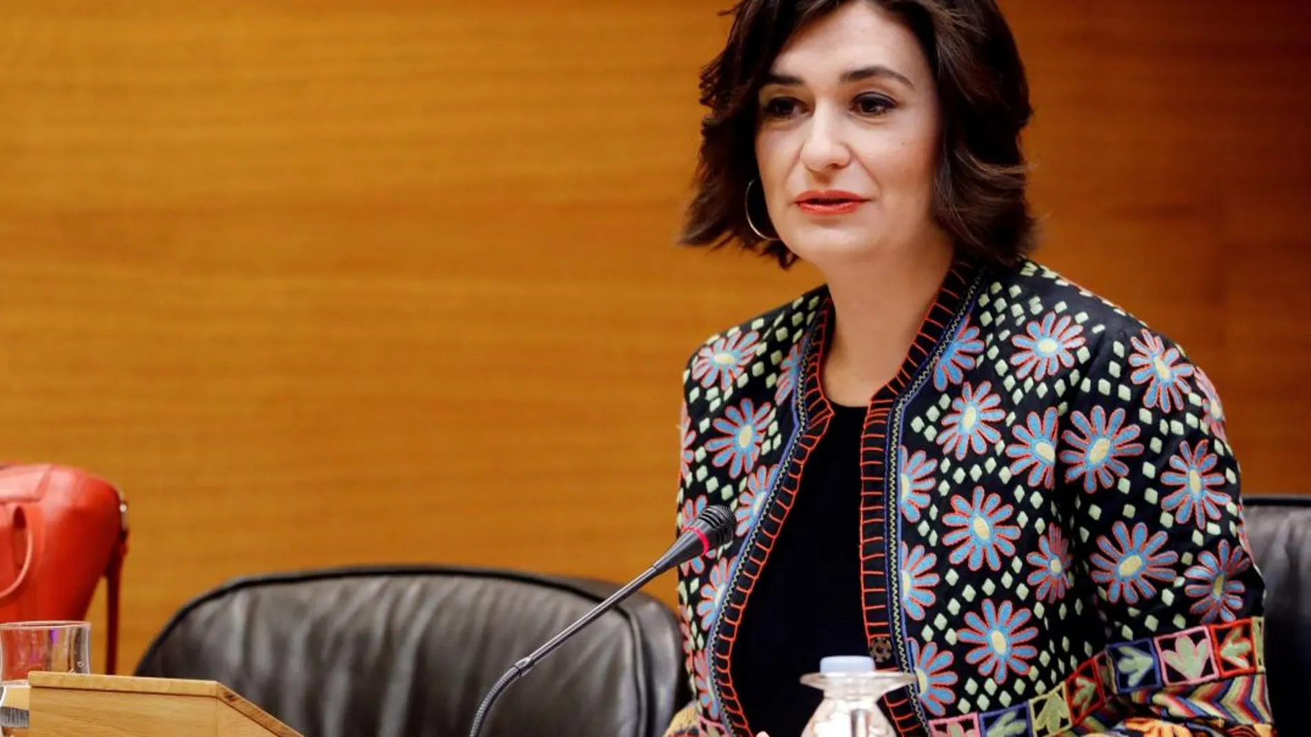 Carmen Montón será la nueva ministra de Sanidad en el Gobierno/Efe