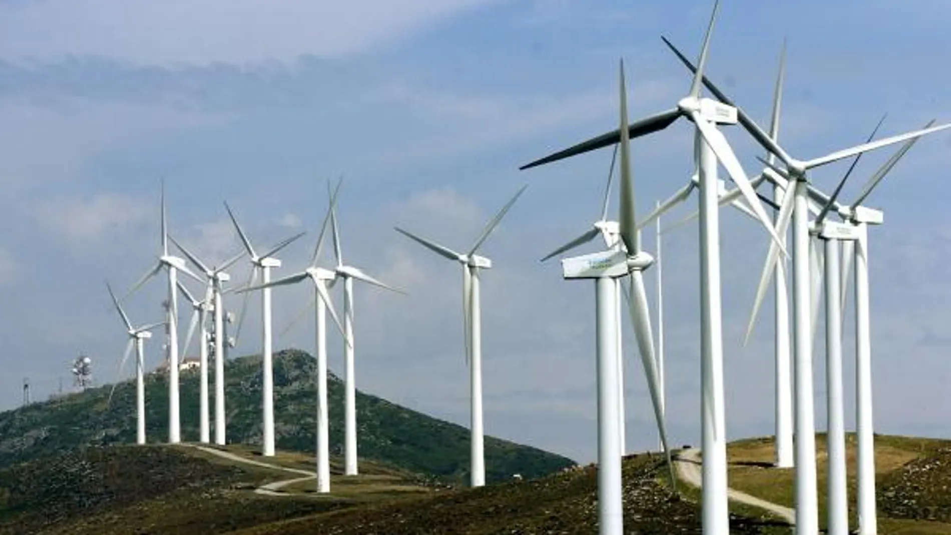 Greenpeace acusa a la Generalitat de abandonar las renovables en su proyecto energético