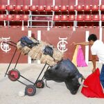 Alumnos de la escuela taurina Marcial Lalanda, el pasado miércoles