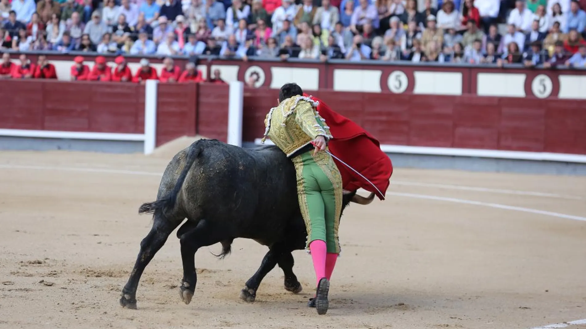 Los toreros consideran que el tamaño del ruedo de Las Ventas aumenta las situaciones de peligro / Foto: C. Bejarano