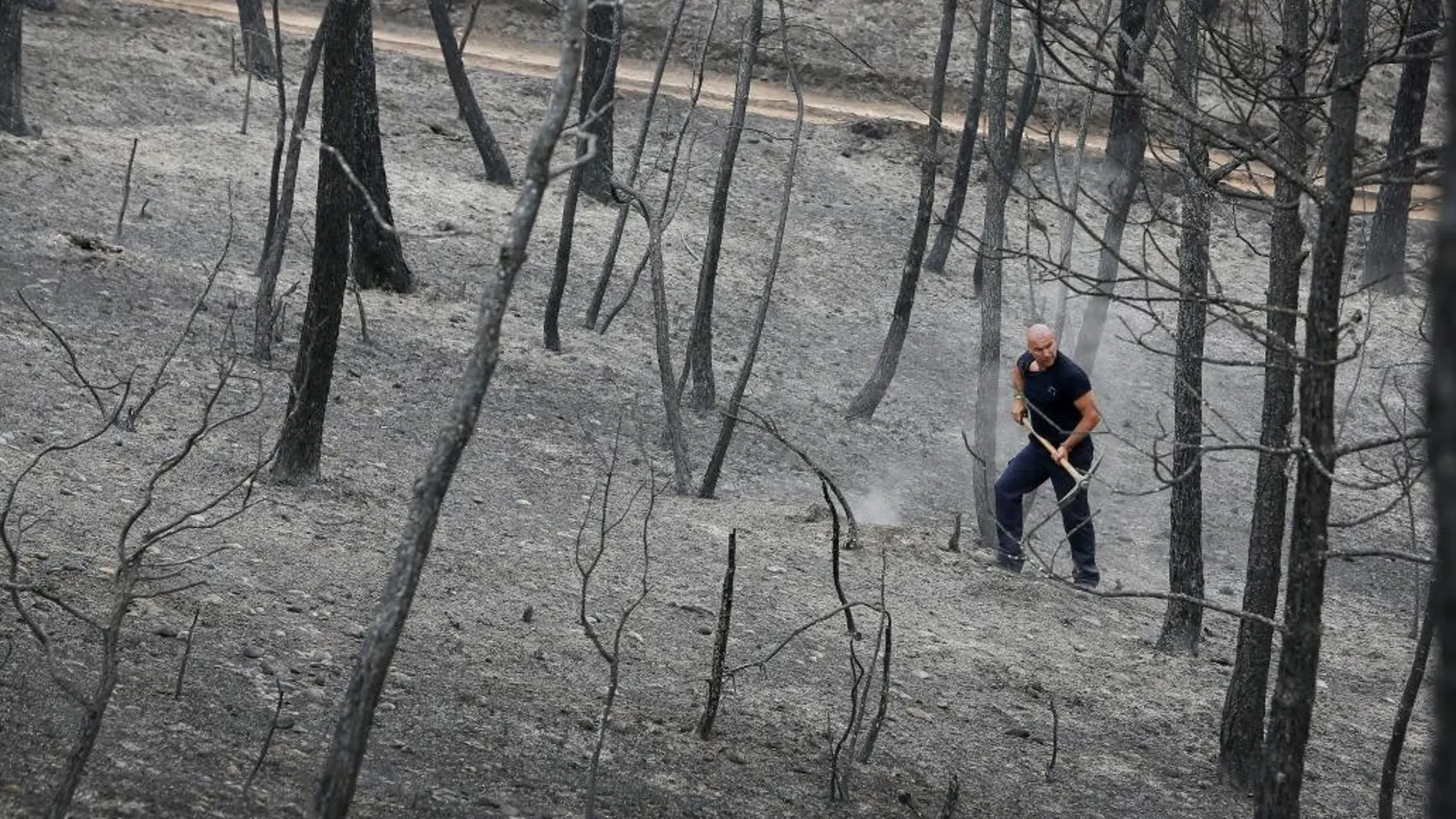 Los Bomberos de la Generalitat han estado trabajando durante toda la noche en el incendio de Ódena (Barcelona) que ha arrasado unas mil hectáreas