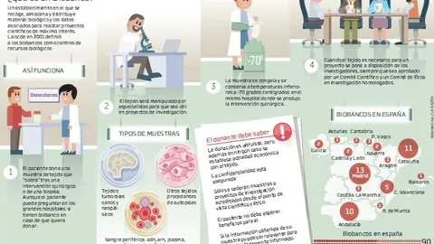 Biobancos: Almacenes de tejidos humanos al servicio de la ciencia