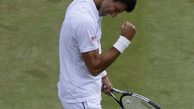Novak Djokovic celebra su victoria frente a Kevin Anderson