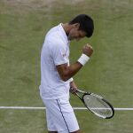 Novak Djokovic celebra su victoria frente a Kevin Anderson