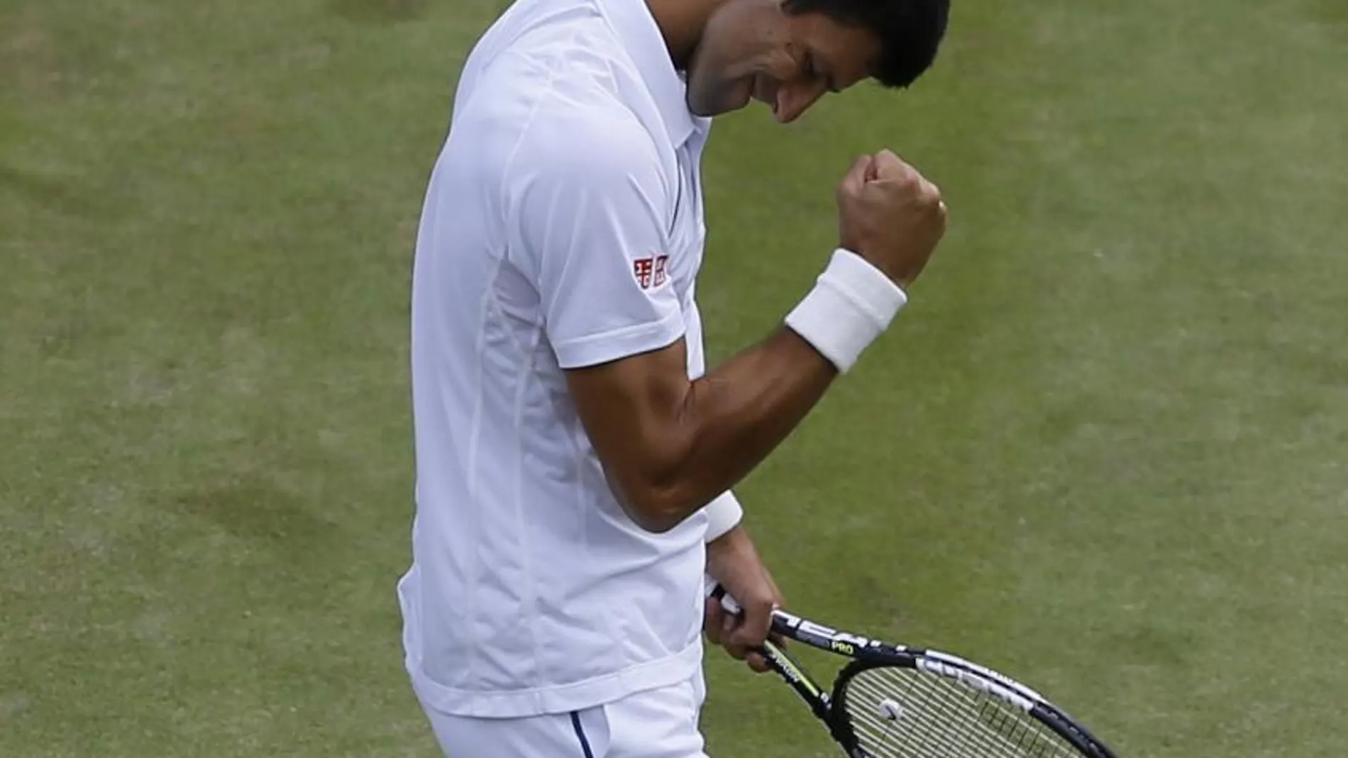 Novak Djokovic celebra su victoria frente a Kevin Anderson