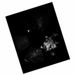Imagen cedida por la Agencia Espacial Europea (ESA) que muestra la primera fotografía del módulo Philae de la sonda Rosetta de la ESA sobre la superficie del cometa 67P/Churyumov-Gerasimenko.