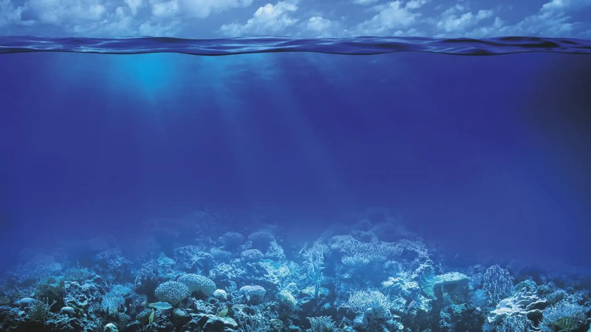 Mitos y verdades del agua del mar