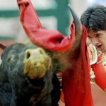 Castella la única oreja en un festejo valenciano donde falló el ganado