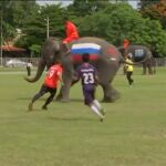 Partido de fútbol de hombres contra elefantes