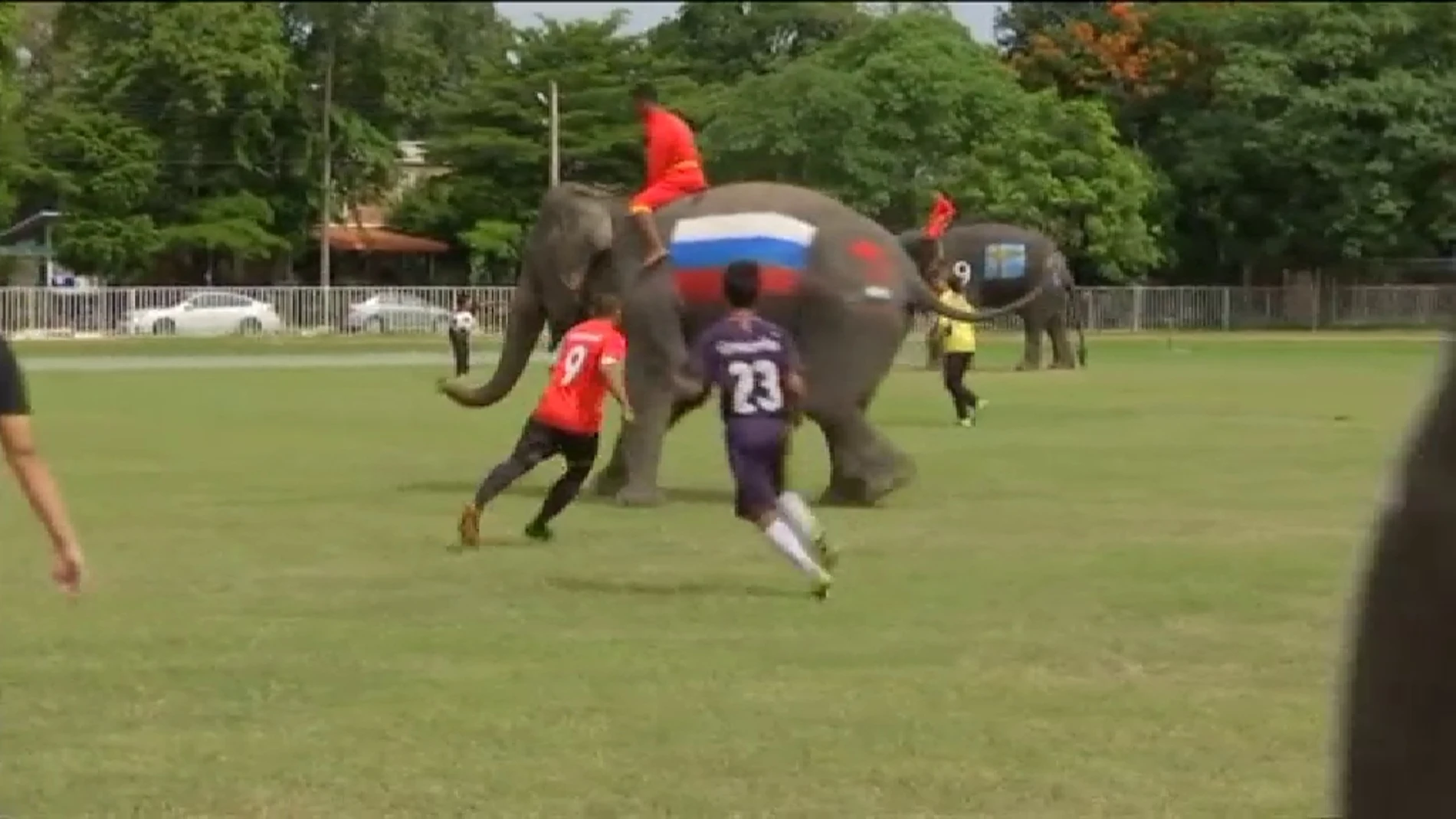 Partido de fútbol de hombres contra elefantes
