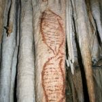 Un detalle de la cueva de Nerja, con pinturas rupestres halladas en su interior