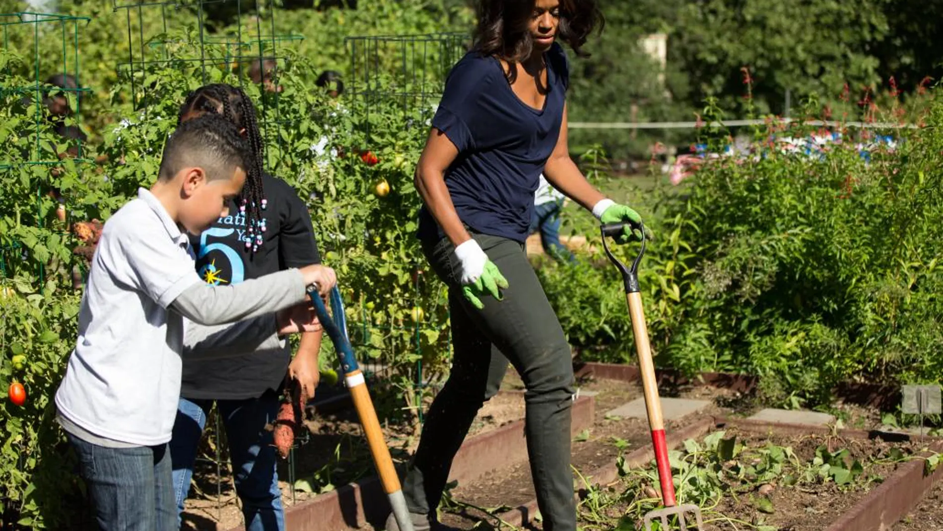 Michelle Obama recolecta la cosecha