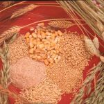 Incrementar la ingesta de selenio reduce el riesgo de padecer cáncer de vejiga