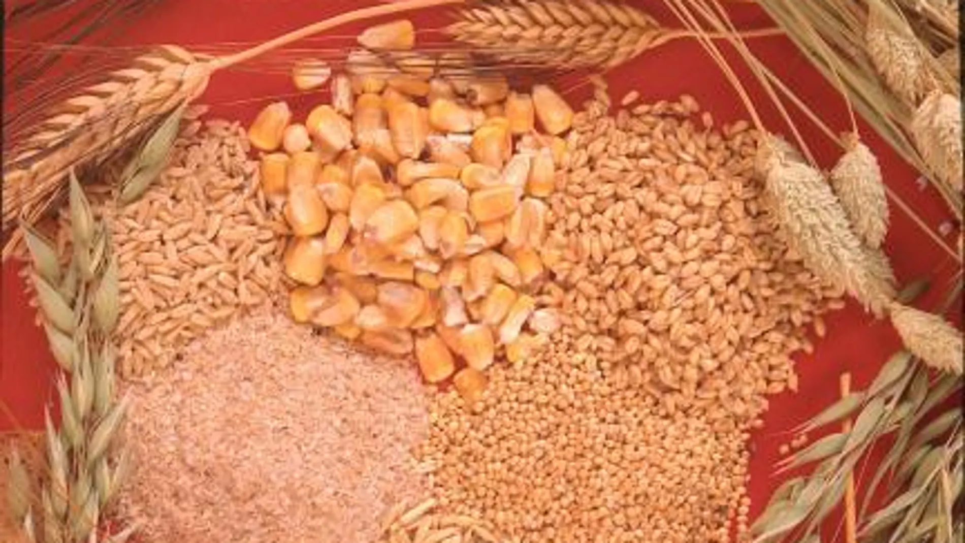 Incrementar la ingesta de selenio reduce el riesgo de padecer cáncer de vejiga