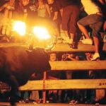 Toros no «correbous» sí