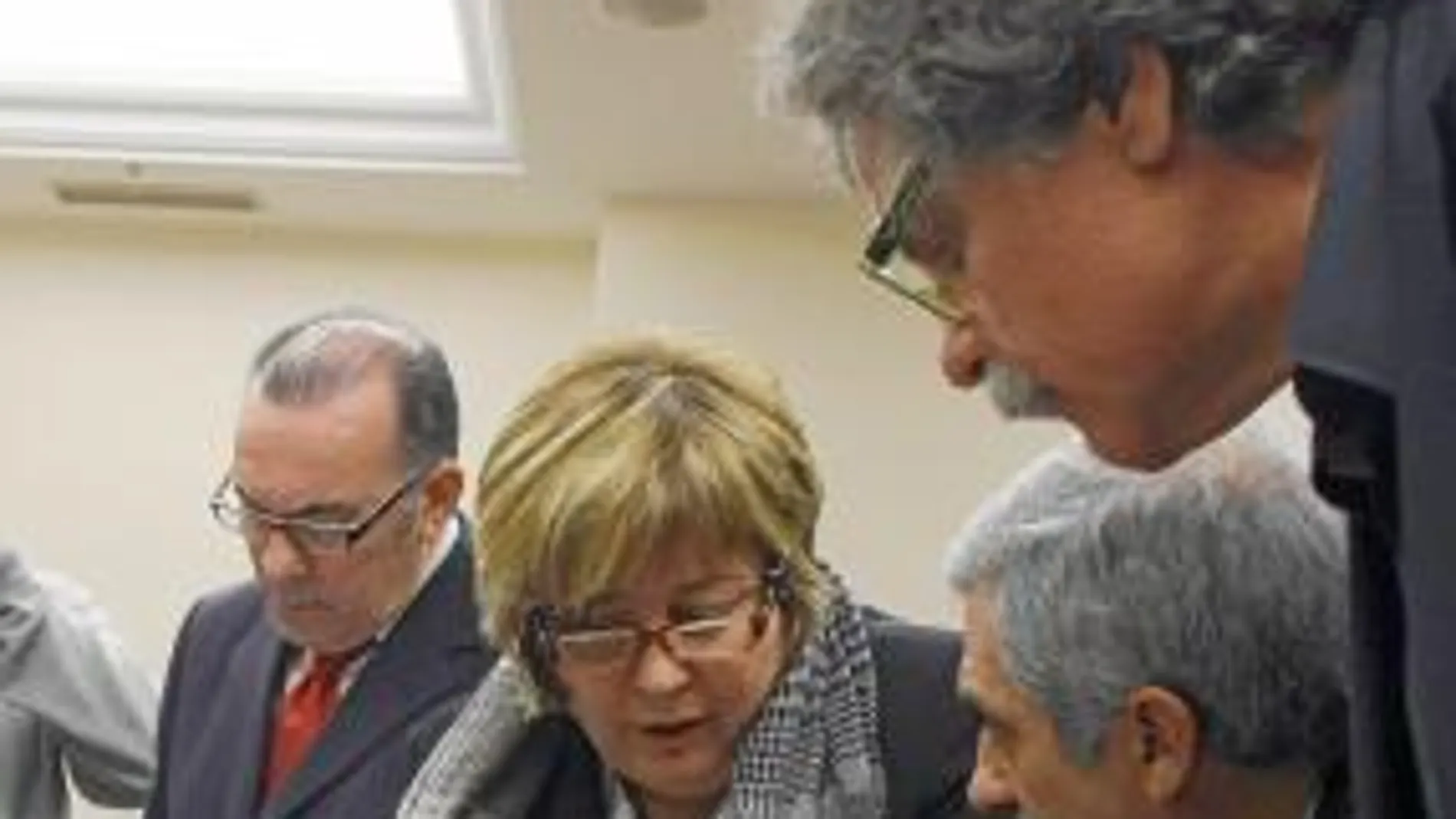 La diputada del PSOE López intenta convencer a Llamazares (IU) y a Tardá (ERC) de las bondades de la reforma del Gobierno
