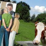 Una vaca pasa junto a un montaje electoral