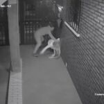 Fotograma de la videocámara de seguridad que captó la agresión