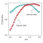 Predicción computacional de la proliferación de células cancerosas y saludables a diferentes pHs intracelulares. Las células cancerosas proliferan bien a pHs básicos, pero a pHs ácidos convierten vulnerables. / IRB