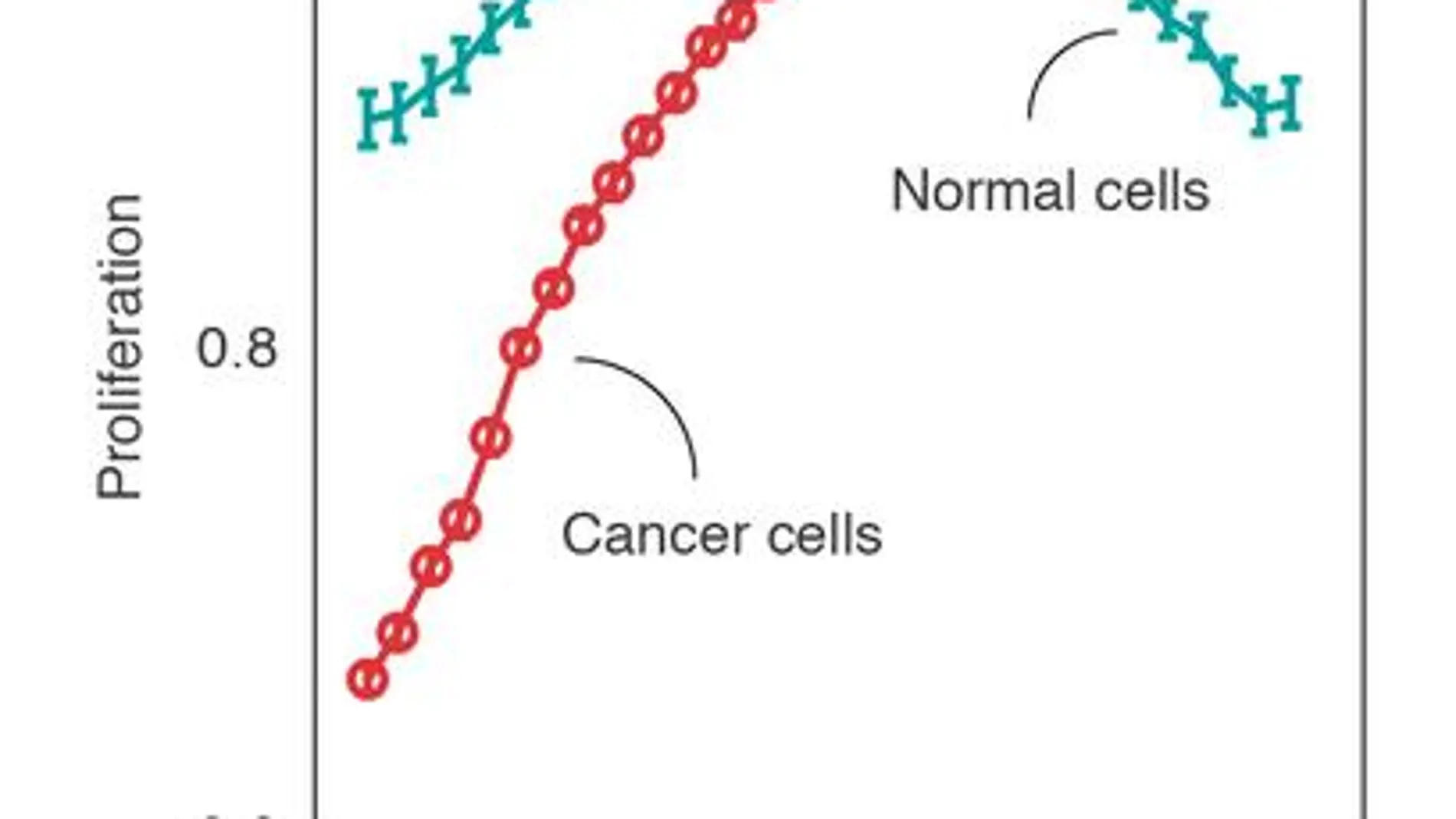 Predicción computacional de la proliferación de células cancerosas y saludables a diferentes pHs intracelulares. Las células cancerosas proliferan bien a pHs básicos, pero a pHs ácidos convierten vulnerables. / IRB