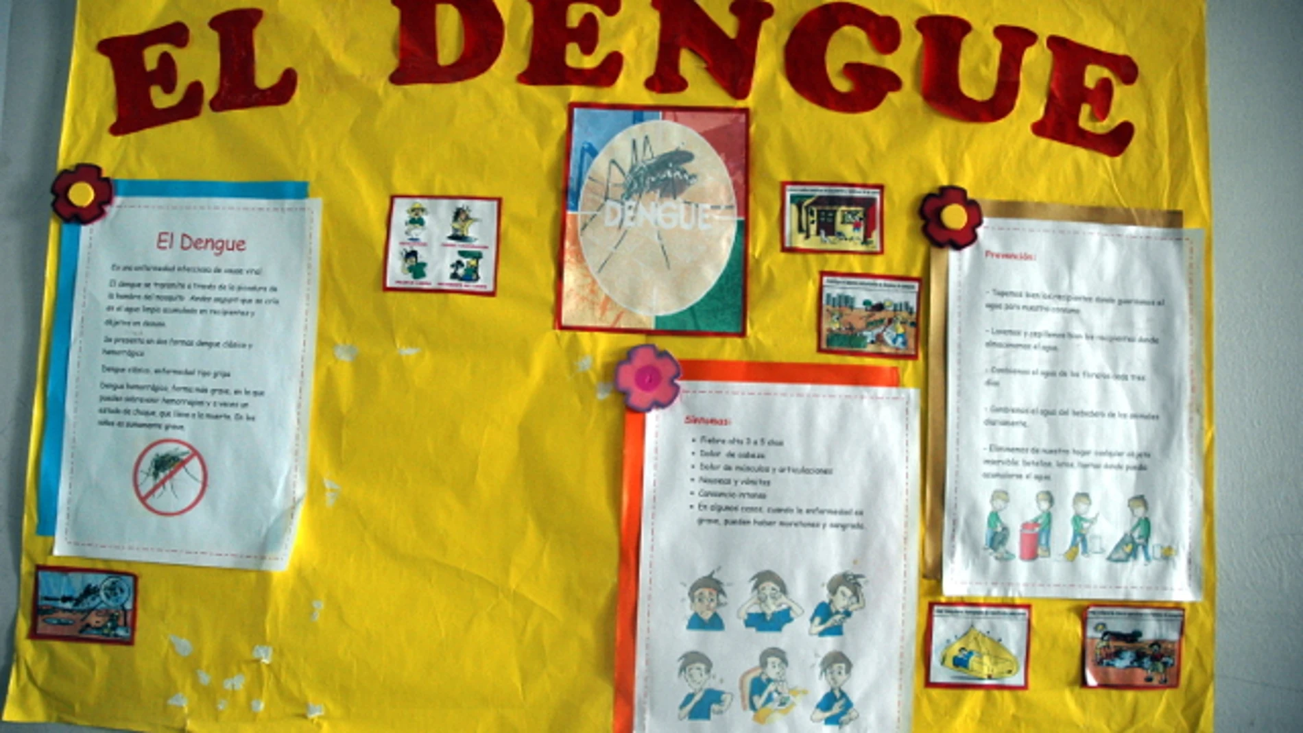 Anesvad prueba una app para combatir la enfermedad del dengue
