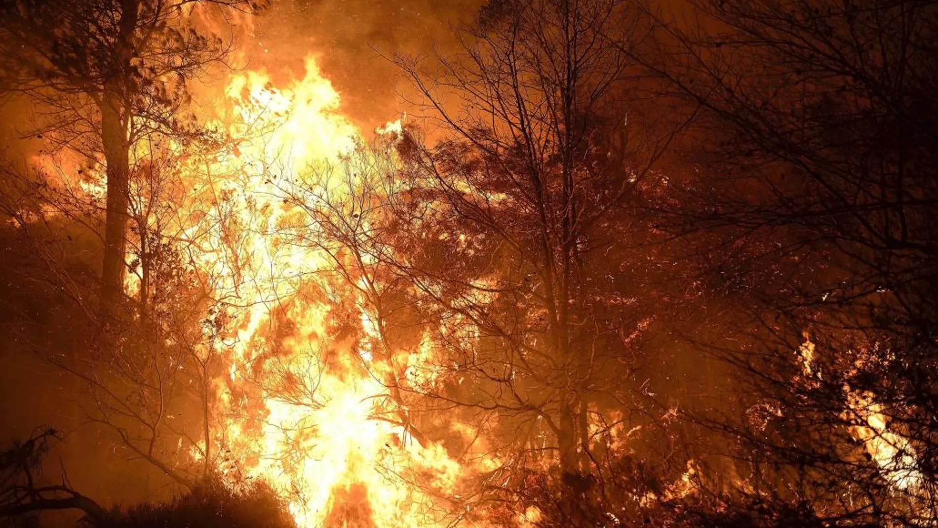 Fuego en los montes próximos a la localidad de Bárcena Mayor