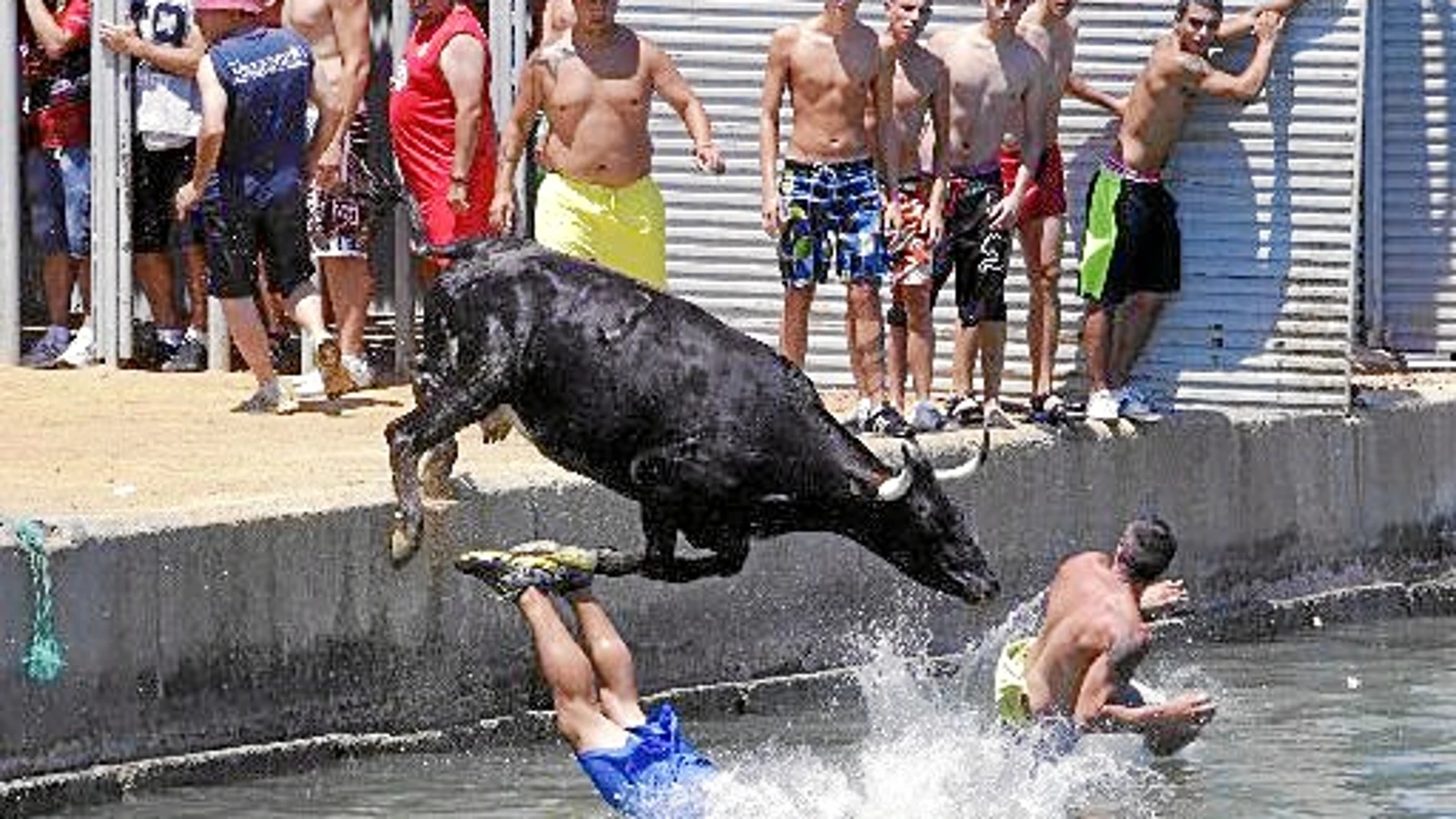 En los "bous a la mar" los participantes huyen de los toros lanzándose al agua
