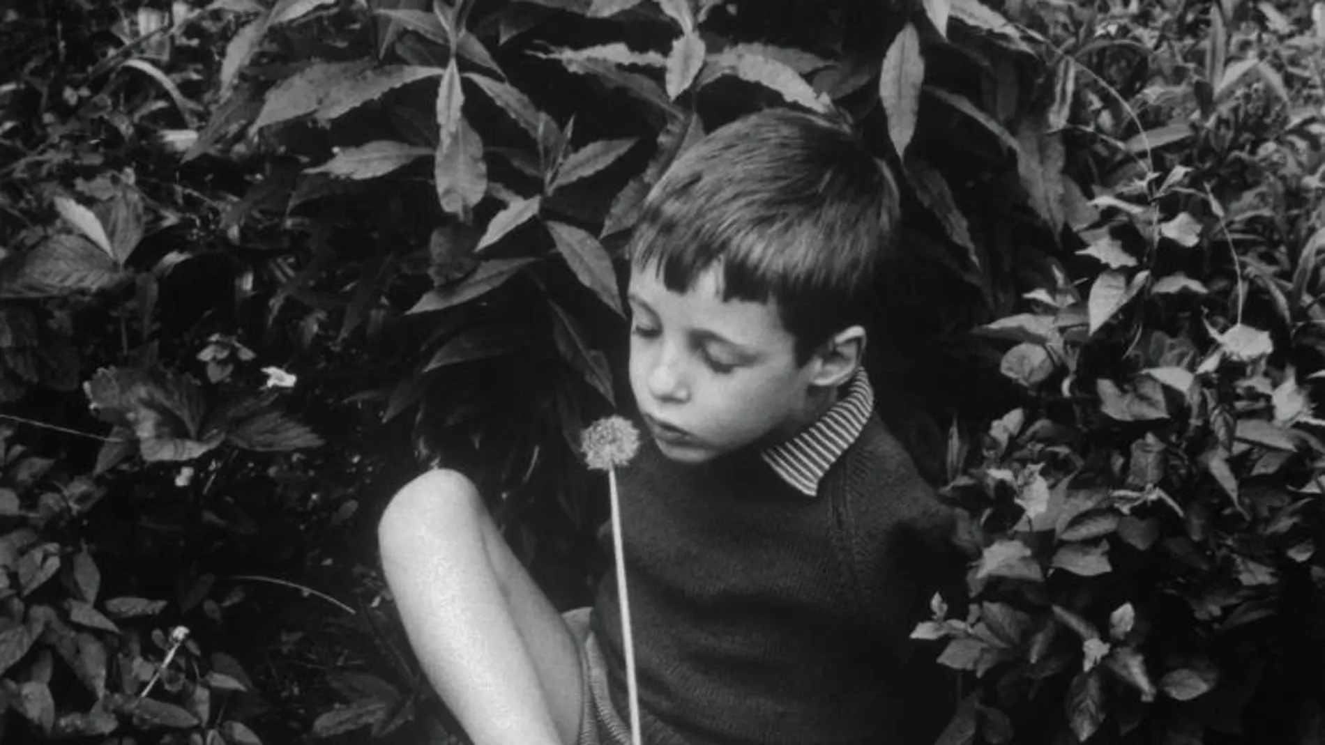 Imagen tomada en 1965 de un niño británico afectado por talidomida