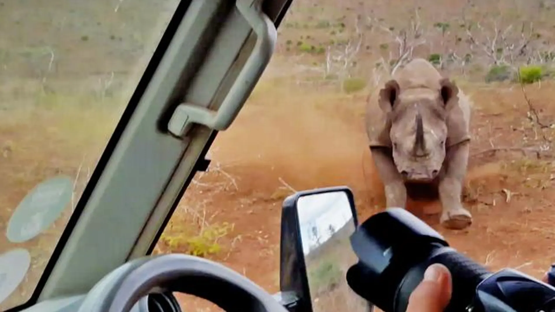 El aterrador ataque de un rinoceronte al coche de unos fotógrafos