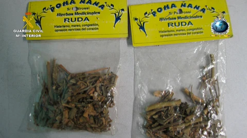 Desmantelada una banda internacional que traficaba con medicamentos ilegales