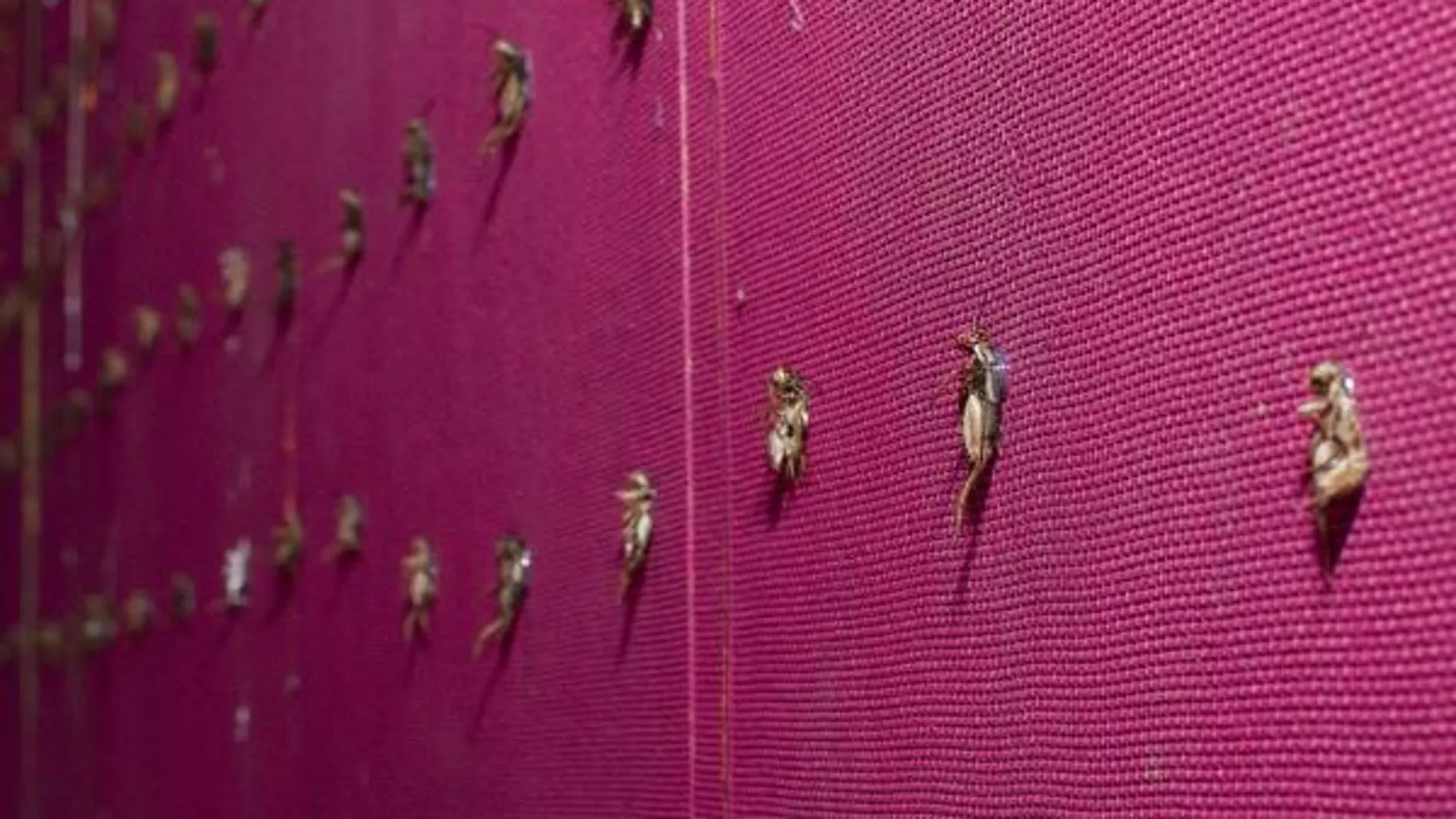 La obra del artista Ismael Alabado "Zorba", en la que aparecen 1.000 grillos vivos colocados sobre un lienzo