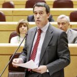 El senador y presidente del PP de Ávila, Antolín Sanz