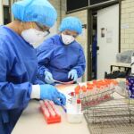 Nuevas ayudas de la Junta para proyectos de investigación sanitaria en Castilla y León