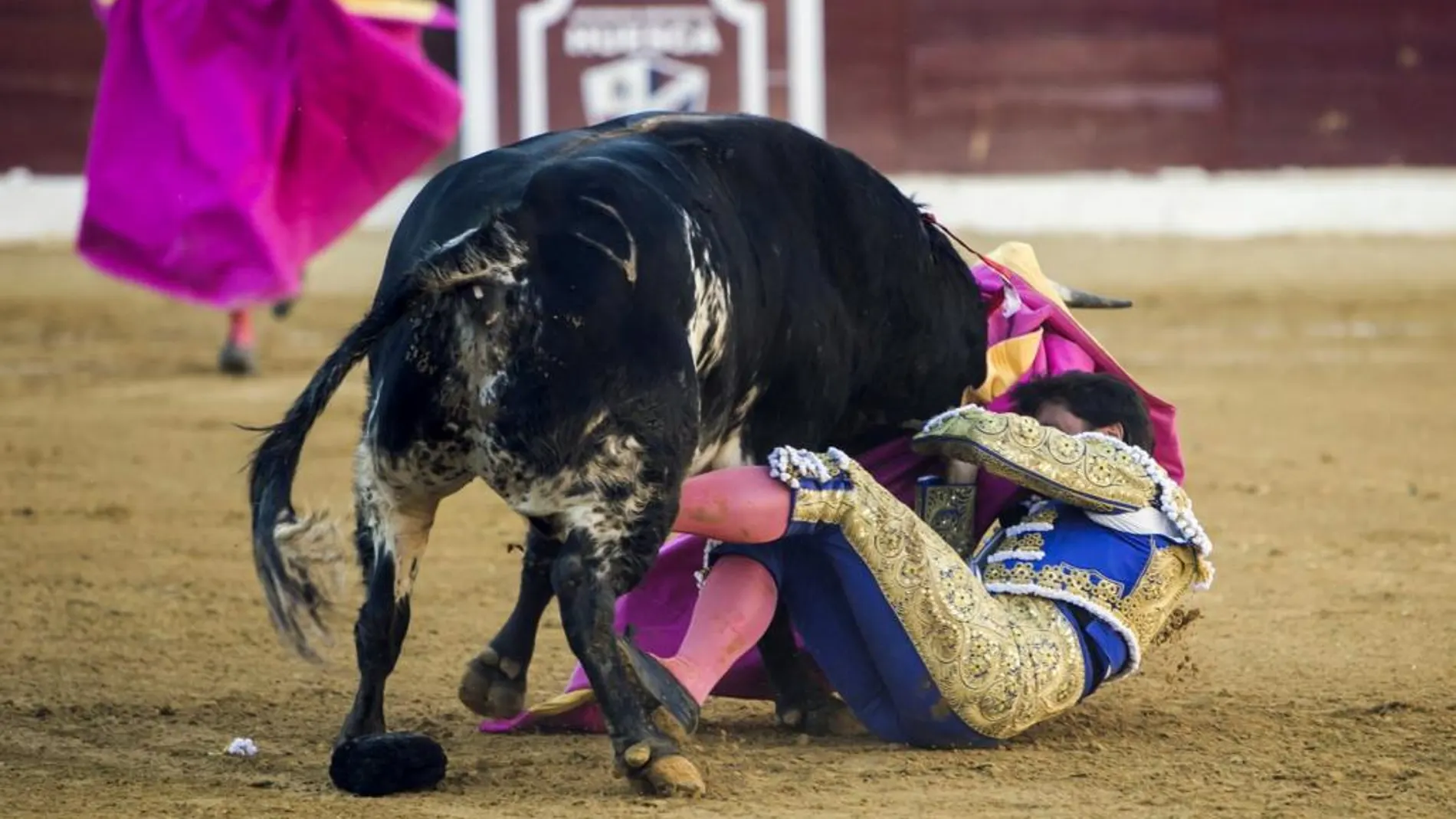 El matador de toros Francisco Rivera Ordóñez "Paquirri"sufre una cogida por el cuarto toro de la tarde durante la corrida de la Feria de San Lorenzo de Huesca