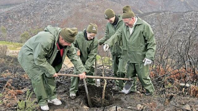 Ni un árbol de los 45 millones prometidos por el Gobierno